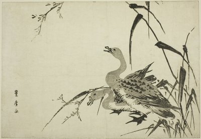 Vilde gæs og rør af Utagawa Toyohiro