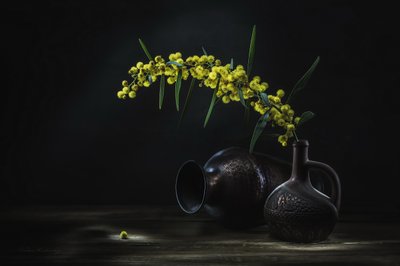 Stilleben med gul mimosa af Vadim Kulinsky
