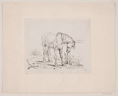 En gammel hest af Valdemar Irminger