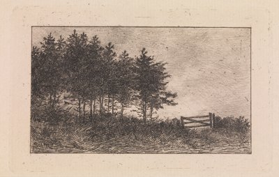Augustaften af Valdemar Schønheyder Møller