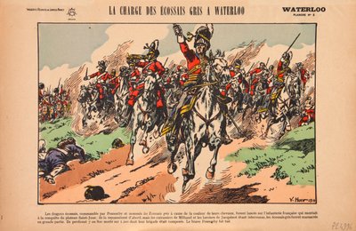 Royal Scots Greys