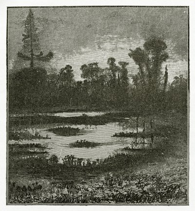 Les Chants du Crépuscule, 1800-tallet (bw-gravering) af Victor Hugo
