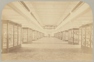 Pl. III. Hovedhistorie: Fugle af Victor Prevost, Gaston L. Feuardent and Co., New York