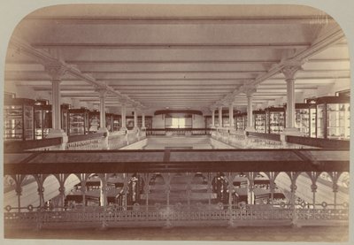 Pl. IV. Gallerihistorie: Etnologi og arkæologi af Victor Prevost, Gaston L. Feuardent and Co., New York