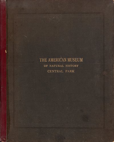 Det fotografiske album fra American Museum of Natural History, Central Park, New York City af Victor Prevost, Gaston L. Feuardent and Co., New York