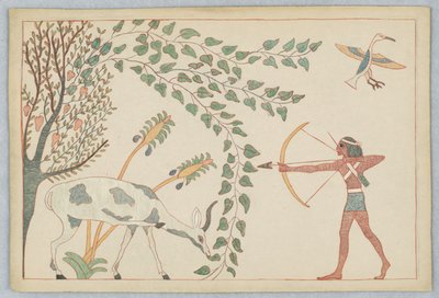 Hjorten og vinstokken, Illustration til Æsops fabler af Victor Wilbour