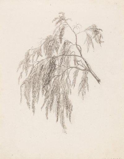 Gren af Victoria Åberg