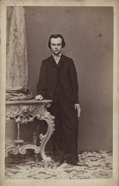 Portræt af komponisten Anton Rubinstein 1829-1894. af Vienna . Photo studio Franz Schultz