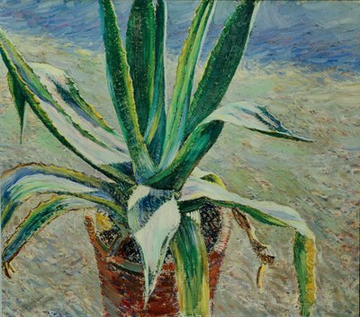 Agave, 1891 af Viktor Elpidiforovich Borisov Musatov
