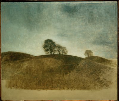 Dunkebakke, Frederiksvaerk af Vilhelm Hammershoi