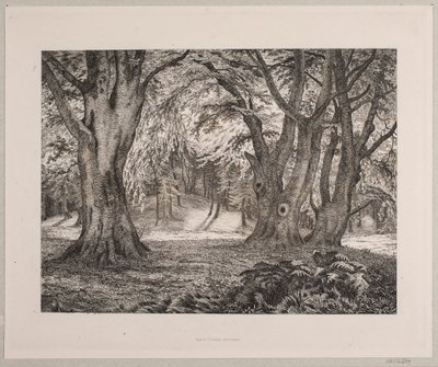 Det indre af en skov af Vilhelm Kyhn