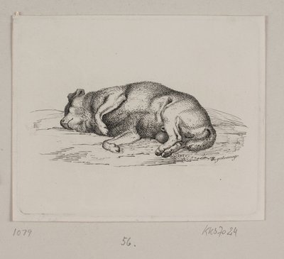 En liggende hund af Vilhelm Kyhn
