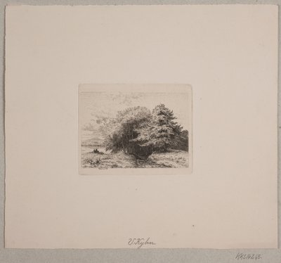 Udkant af en skov af Vilhelm Kyhn