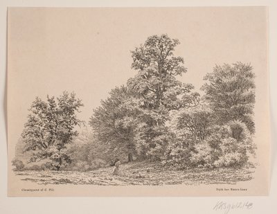 Udkant af en skov af Vilhelm Kyhn