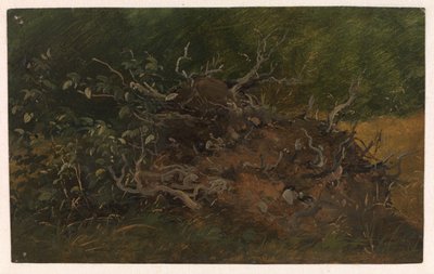 Studie af en træstub af Vilhelm Petersen