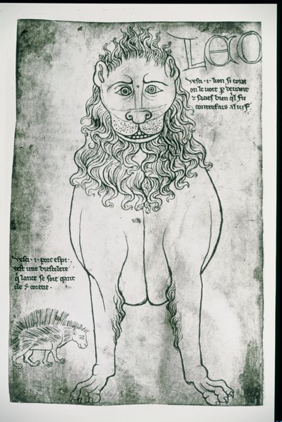 Fr 19093 fol.24v Løve og Porcupine (faksimile) af Villard de Honnecourt