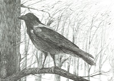 Fugl, 2011 af Vincent Alexander Booth