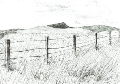 Culter Fell fra Hartfell, 2005 af Vincent Alexander Booth