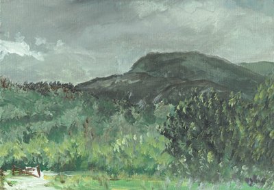 Hills at Creag Dugh, 2006 af Vincent Alexander Booth
