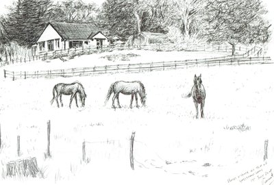 Heste øverst på banen, 2008 (blæk på papir) af Vincent Alexander Booth