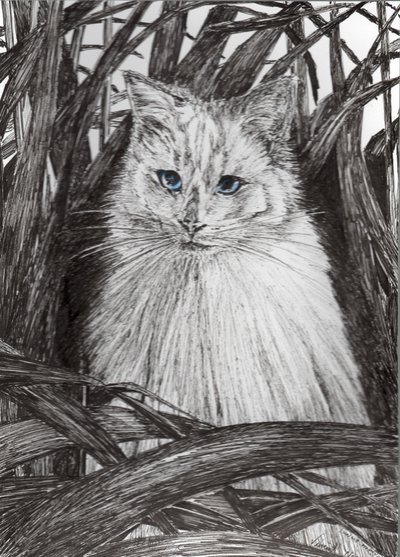 Jungle Monty, 2015, (blæk på papir) af Vincent Alexander Booth