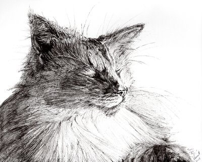 Monty cozy boy, 2015, (blæk på papir) af Vincent Alexander Booth