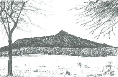 Bjerg fra bådklub ved søen Naivasha, Kenya; 2006 af Vincent Alexander Booth