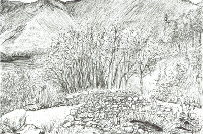 Gammel stenbro i sødistriktet, 2005 af Vincent Alexander Booth
