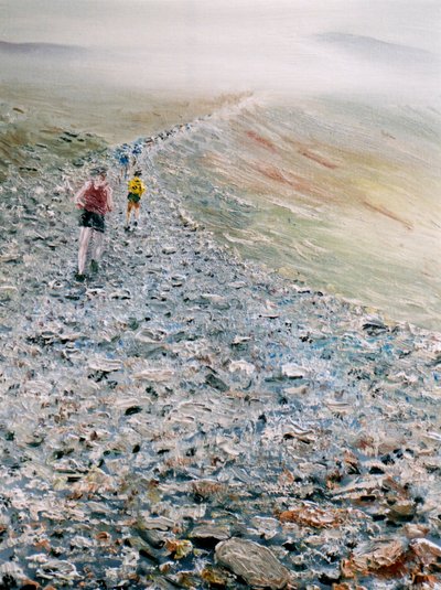 Run up Snowdon, 2014 af Vincent Alexander Booth
