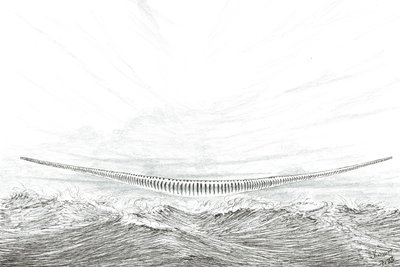 Stormskabere Cape Leveque, 2023 af Vincent Alexander Booth