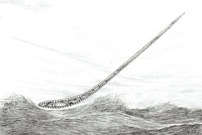 Stormskabere ved Mweru-søen, 2023 af Vincent Alexander Booth