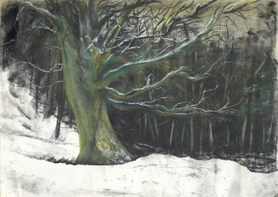 Træ i vintersne ved Osmotherley woods af Vincent Alexander Booth