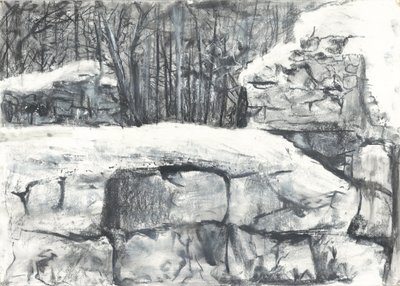 Wall in the Woods Osmotherley af Vincent Alexander Booth