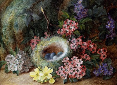 Fuglerede med blomster og primula. Maleri af Vincent Clare (ca. 1855-1930) Privat samling. af Vincent Clare