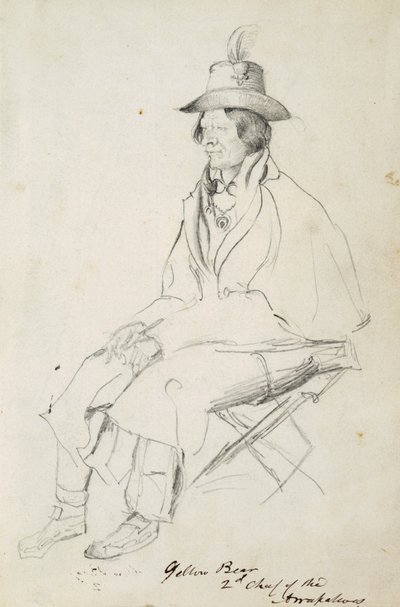 Yellow Bear, second chief of Arrapahoes af Vincent Colyer
