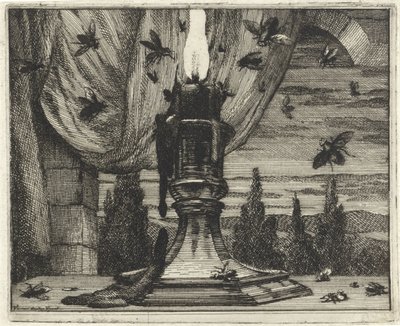 Fluer kommer til lyset af et stearinlys af Vincent Laurensz. van der Vinne (II)