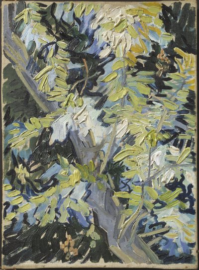 Acacia en fleur - Acacia Flowering, af Gogh, Vincent, van (1853-1890). Olie på lærred. Mål: 33x24 cm. Nationalmuseum Stockholm af Vincent van Gogh