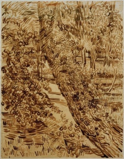 Træ med vedbend i sanatoriets have af Vincent van Gogh
