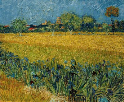Udsigt over Arles med irisblomster i forgrunden af Vincent van Gogh