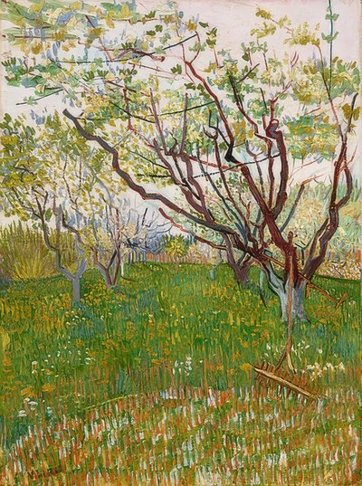 Blomstrende frugthave. 1888 af Vincent van Gogh