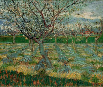 Blomstrende frugthave med abrikostræer af Vincent van Gogh