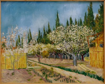Blomstrende frugthave omgivet af cypresser af Vincent van Gogh