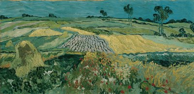 Auvers Plain af Vincent van Gogh
