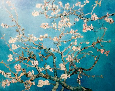 Hollandsk: Amandelbloesem Blomstrende mandelgren træ af Vincent van Gogh