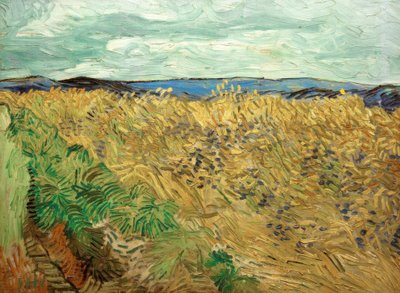 Mark med kornblomster af Vincent van Gogh
