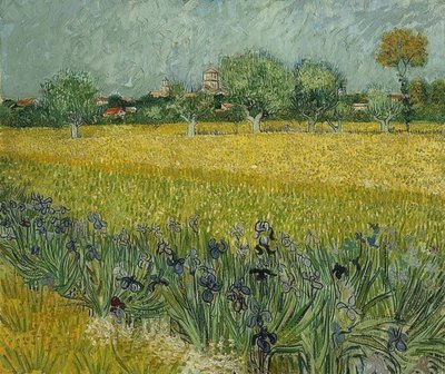 Mark med iris nær Arles. maj 1888 af Vincent van Gogh