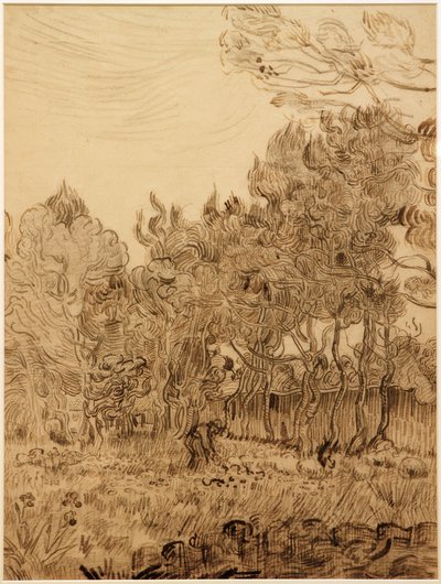 I parken ved sanatoriet af Vincent van Gogh