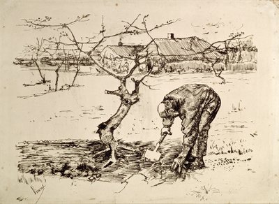 I frugthaven 1883 af Vincent van Gogh