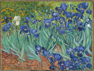 Iriser af Vincent van Gogh
