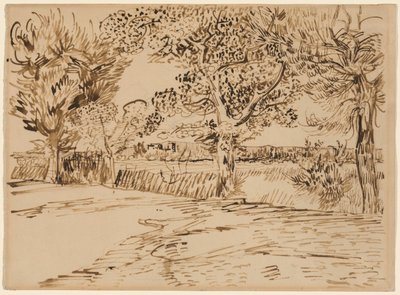 Landskab ved Arles af Vincent van Gogh